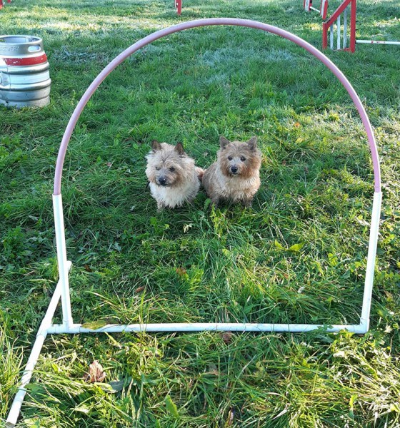 Hoopers
