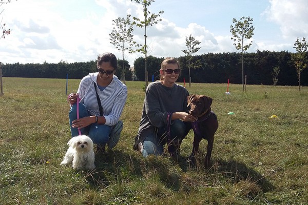 Puppy / Beginners class