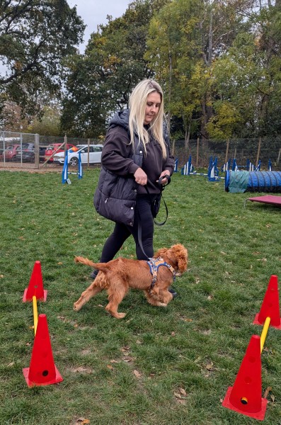Loose Lead Walking 1hr class